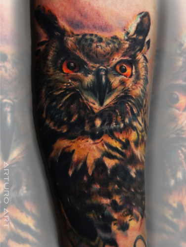 Owl sm