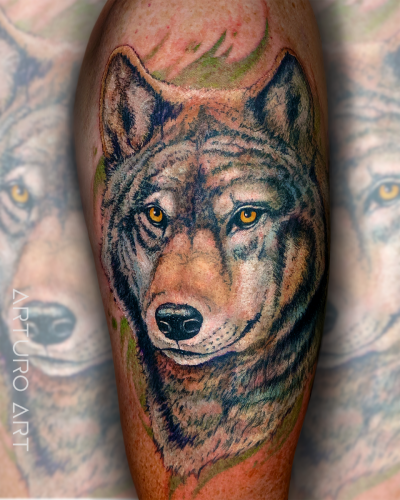 Wolf_1 sm